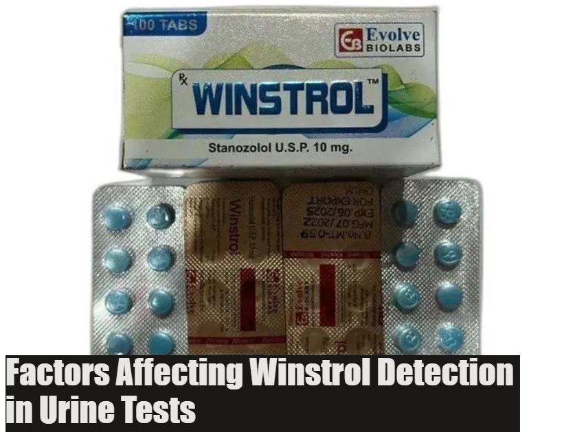 Factors Affecting Winstrol Detection in Urine Tests